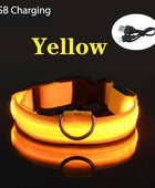 USB Charging LED Dog Collar Dog Safety Night Light Flashing Necklace Fluorescent Yellow USB Charging / XS NECK 28-38 CM - IHavePaws