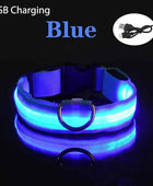 USB Charging LED Dog Collar Dog Safety Night Light Flashing Necklace Fluorescent Blue USB Charging / XS NECK 28-38 CM - IHavePaws