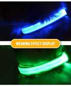 USB Charging LED Dog Collar Dog Safety Night Light Flashing Necklace Fluorescent - IHavePaws
