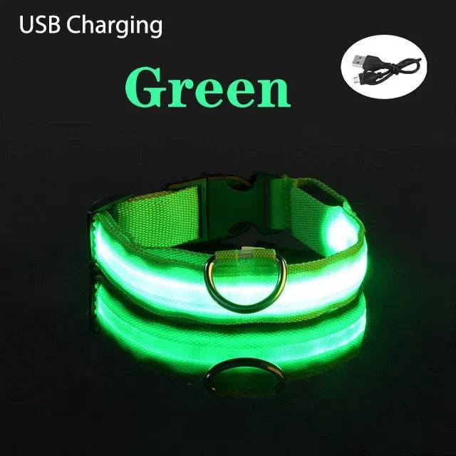 USB Charging LED Dog Collar Dog Safety Night Light Flashing Necklace Fluorescent Green USB Charging / XS NECK 28-38 CM - IHavePaws