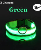 USB Charging LED Dog Collar Dog Safety Night Light Flashing Necklace Fluorescent Green USB Charging / XS NECK 28-38 CM - IHavePaws