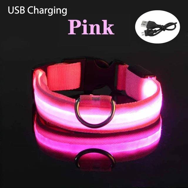 USB Charging LED Dog Collar Dog Safety Night Light Flashing Necklace Fluorescent Pink USB Charging / XS NECK 28-38 CM - IHavePaws