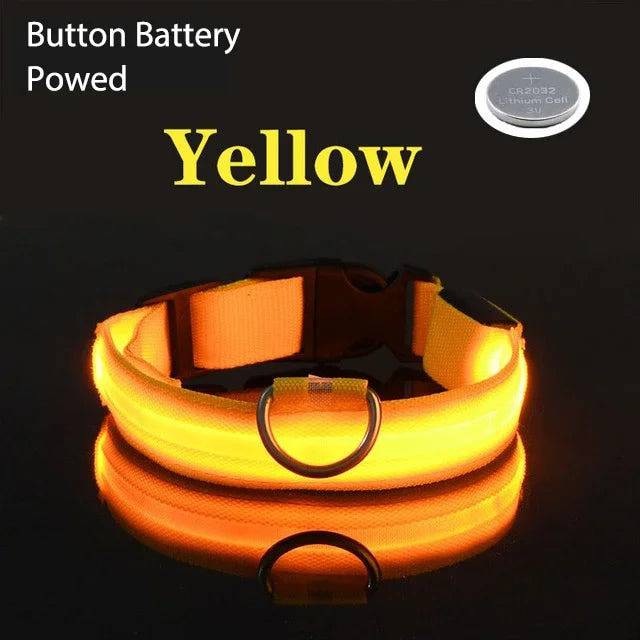 USB Charging LED Dog Collar Dog Safety Night Light Flashing Necklace Fluorescent Yellow Battery / XS NECK 28-38 CM - IHavePaws