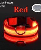 USB Charging LED Dog Collar Dog Safety Night Light Flashing Necklace Fluorescent Red Battery / XS NECK 28-38 CM - IHavePaws