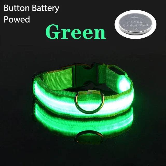USB Charging LED Dog Collar Dog Safety Night Light Flashing Necklace Fluorescent Green Battery / XS NECK 28-38 CM - IHavePaws