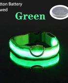 USB Charging LED Dog Collar Dog Safety Night Light Flashing Necklace Fluorescent Green Battery / XS NECK 28-38 CM - IHavePaws