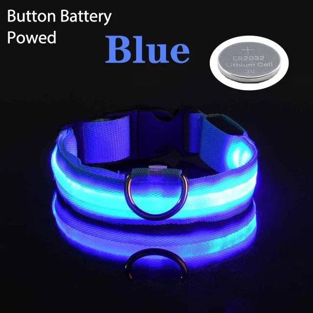 USB Charging LED Dog Collar Dog Safety Night Light Flashing Necklace Fluorescent Blue Battery / XS NECK 28-38 CM - IHavePaws